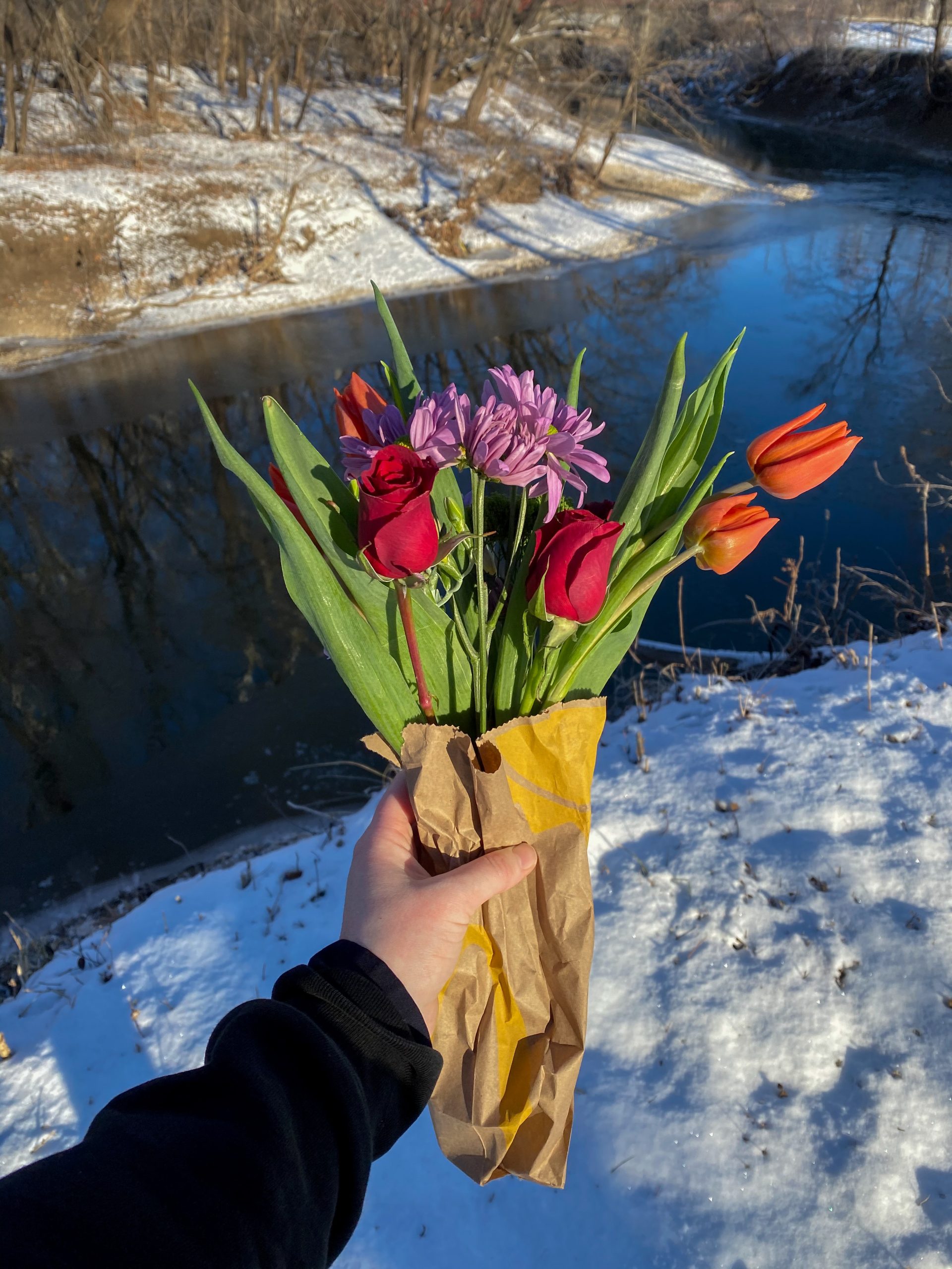 spring flowers and cold winter